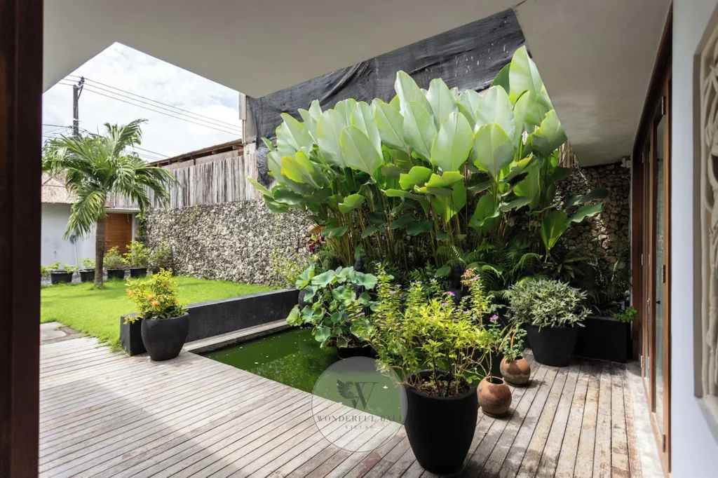 Mature tropical garden, three-bedroom villa in Umalas, Bali