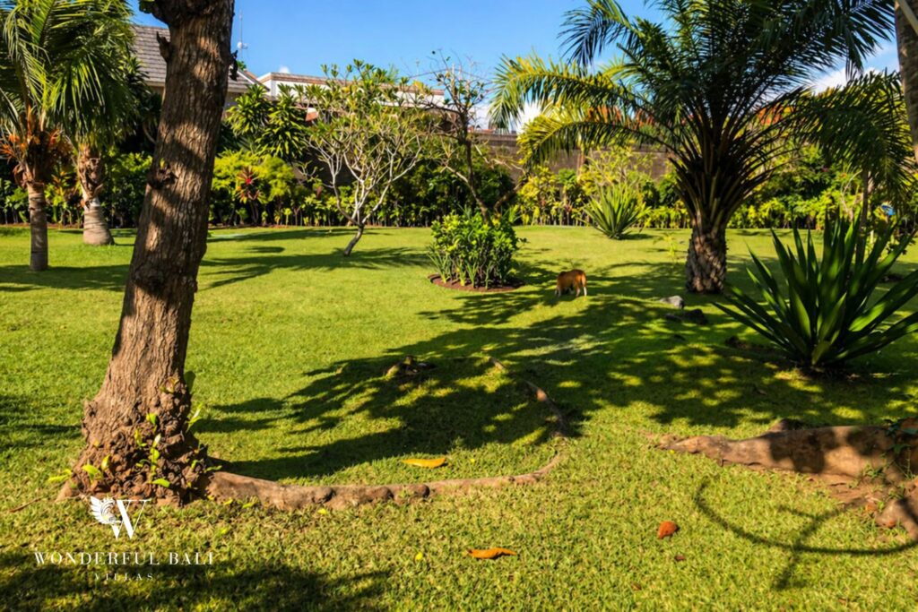 2BR Pool Garden Balinese Villa in Sanur photo 15