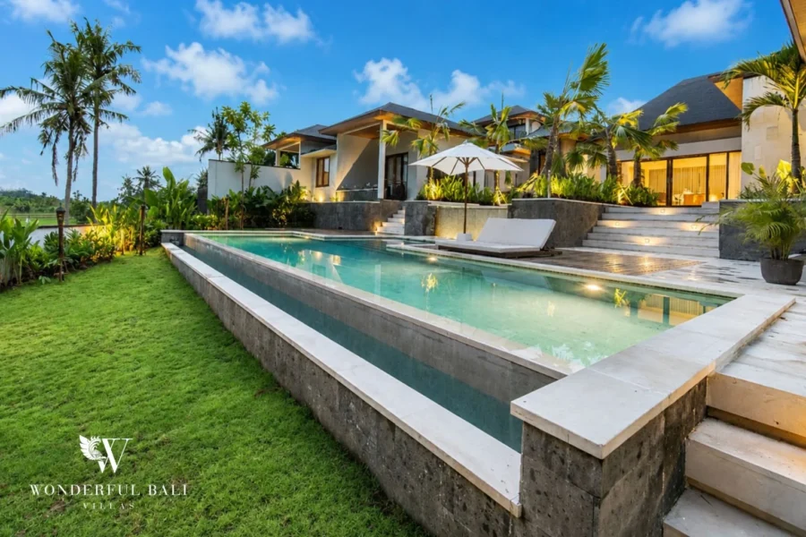 Infinity pool overlooking rice fields with sunloungers and palms in Tumbak Bayuh, Bali