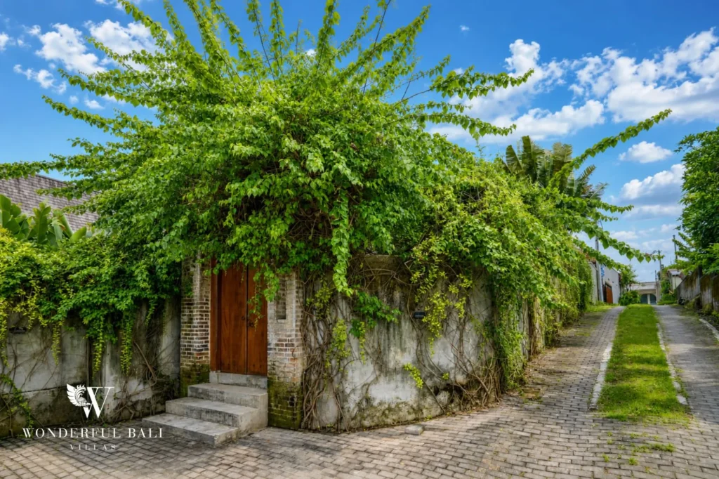 Expansive tropical garden with mature bamboo and palms, 4-bedroom dual-villa compound in Pererenan