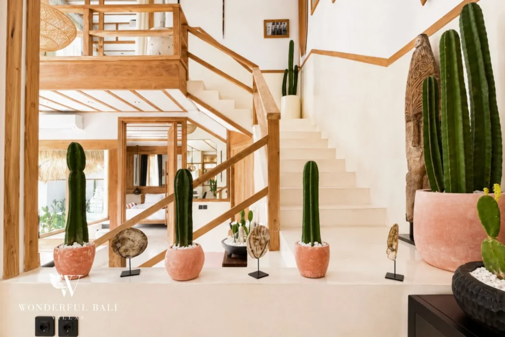 Entry staircase with cactus display and carved tribal mask in Berawa, Bali