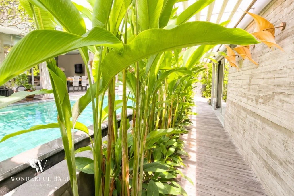 monthly villa rental Umalas — tropical garden walkway