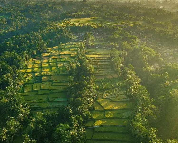 Ubud