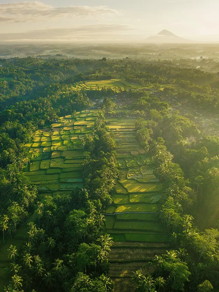 Ubud