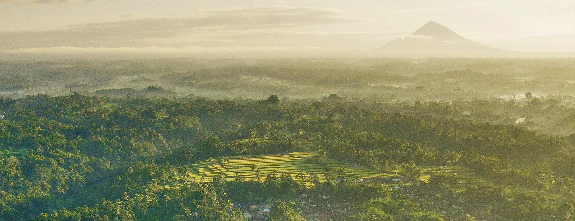 Ubud
