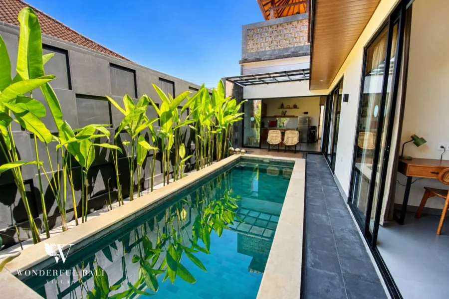 Private pool with dark stone surround and banana plants at villa in Canggu, Bali