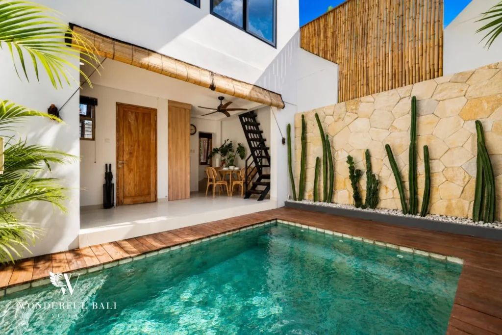 Courtyard pool with timber deck, daybed and cacti at villa in Canggu, Bali