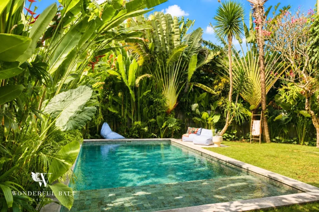 Pool surrounded by lush jungle planting at villa in Berawa, Bali