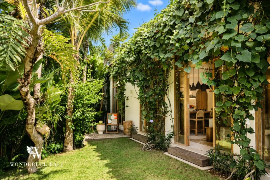 Garden courtyard with climbing plants and lawn at villa in Berawa, Bali