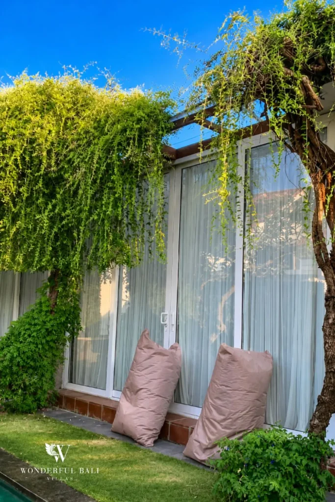 Tropical garden with two pink loungers beside a tall palm at villa in Canggu, Bali