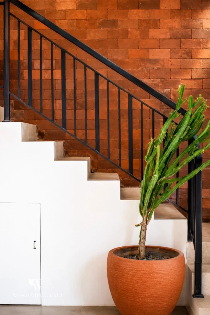 Internal staircase with terracotta tile wall and cactus in Nyanyi, Bali