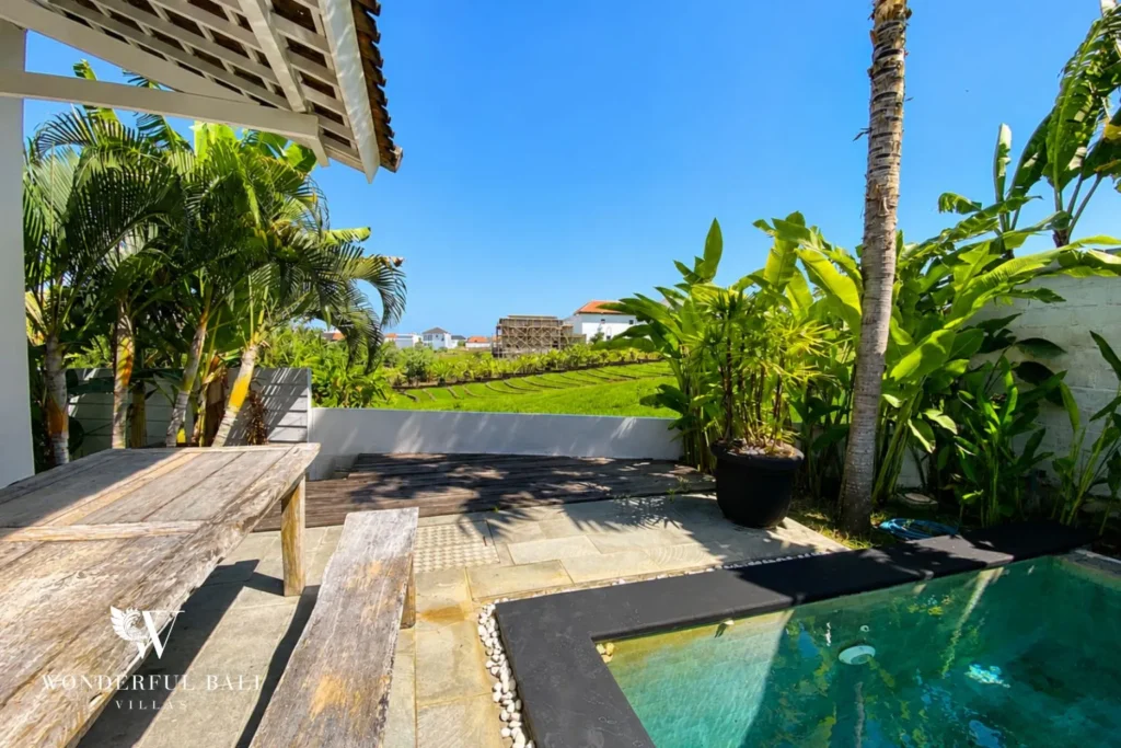 Pool with timber decking, garden and palms at villa in Canggu, Bali