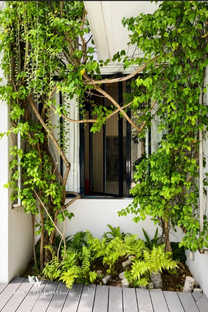 Cobalt-blue side door framed by climbing vines at villa in Umalas, Bali