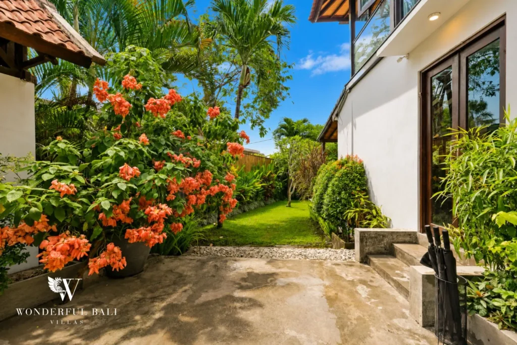 Garden path with bougainvillea beside the villa exterior at villa in Umalas, Bali