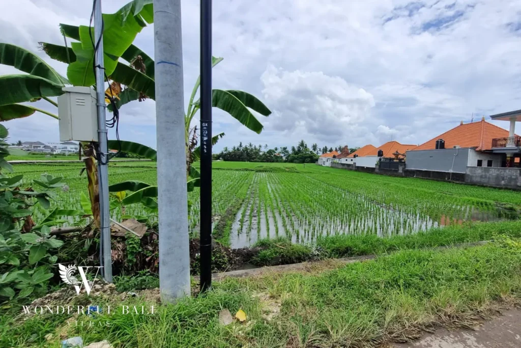 Land plot with rice field and banana trees in Seseh Bali