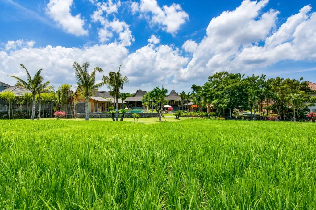 Surroundings at Villa Mannao, a private villa in Kerobokan, Bali