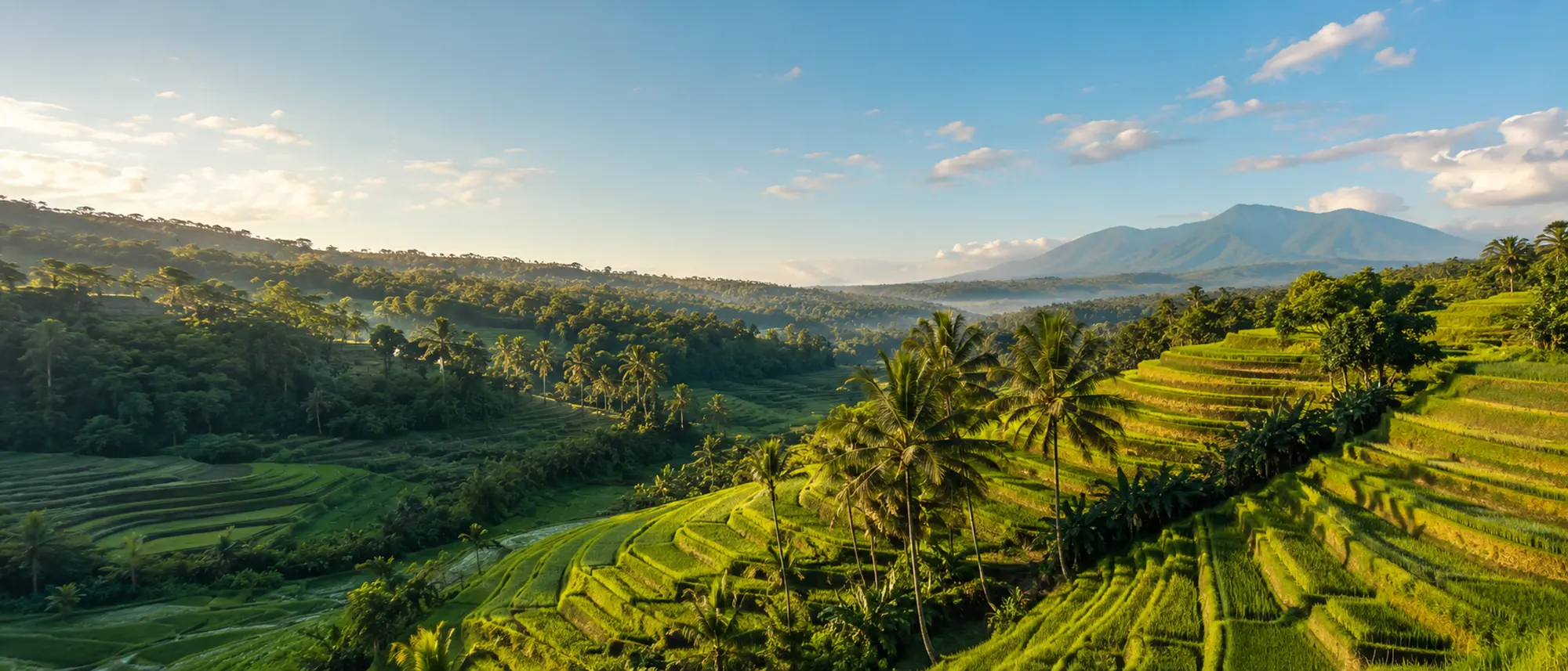 Lush green Bali landscape under a bright blue sky at golden hour