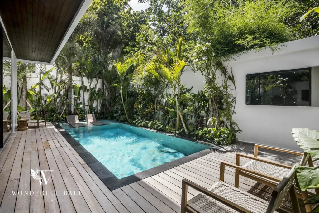 A private swimming pool bordered by a wooden deck, lounge chairs and dense tropical planting at a 3-bedroom villa in Pererenan, Bali