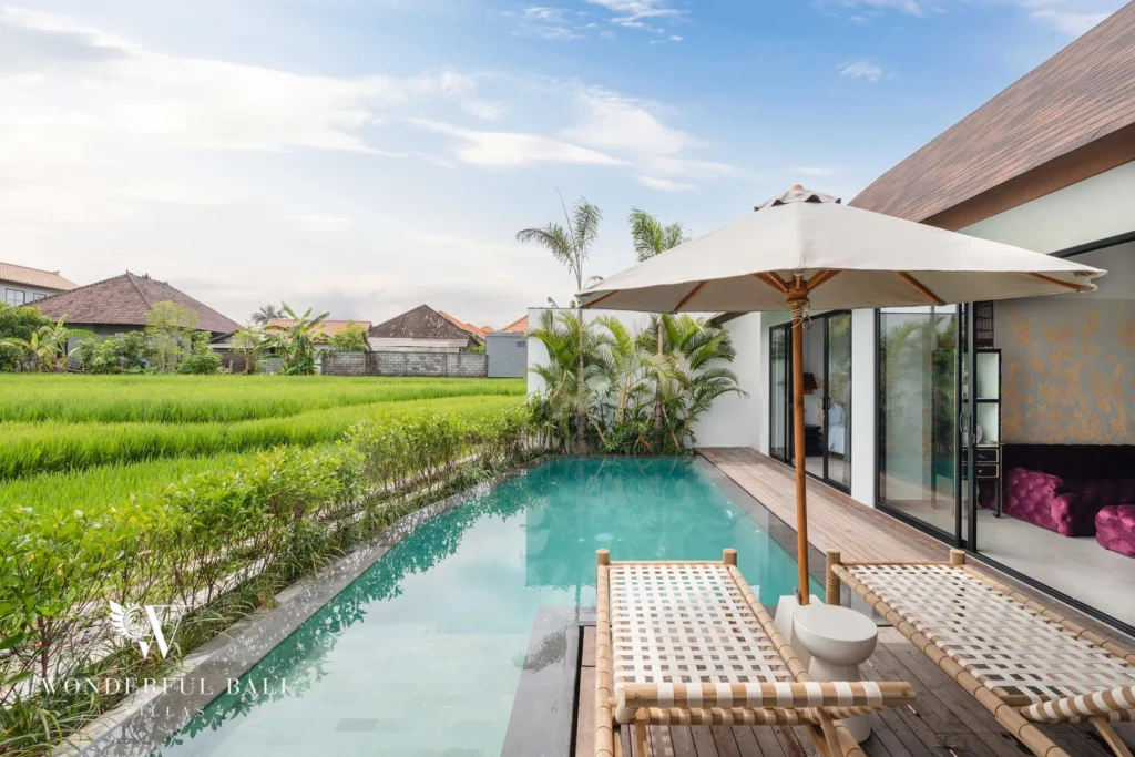 A private pool bordered by a manicured lawn and rice fields, with bamboo loungers and glass doors revealing magenta seating inside at a 4-bedroom villa in Canggu, Bali