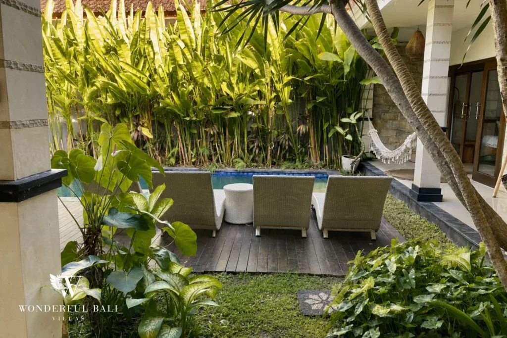 Plunge pool with hammock and daybeds in a bamboo garden at a villa in Batu Bolong, Canggu