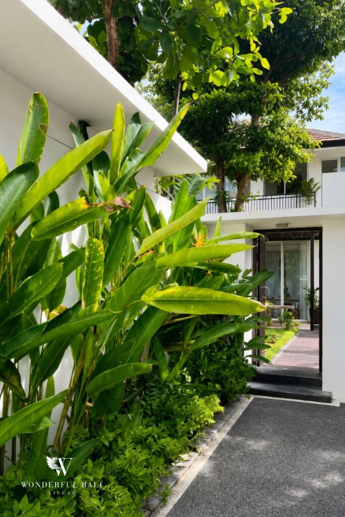 Garden side path with tropical planting at a villa in Seminyak