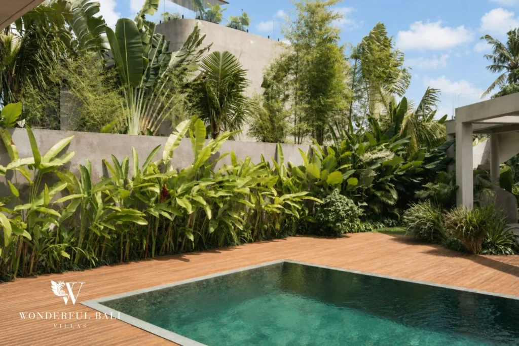 3BR modern villa in Pererenan — pool and rice field from above
