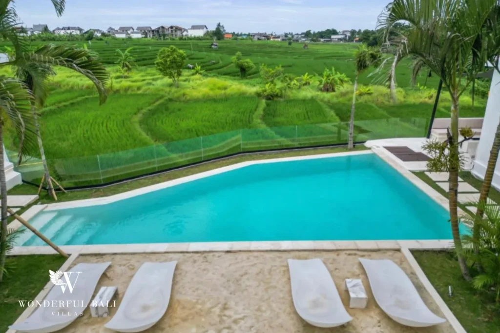 Elevated view over the private pool and sun loungers looking out to terraced rice fields at a 5-bedroom villa in Pererenan, Bali