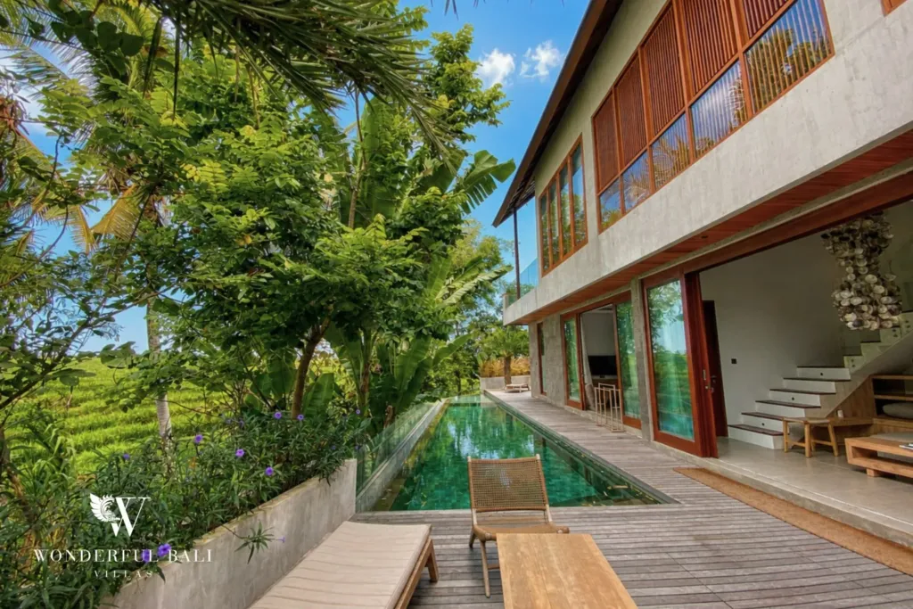 3BR villa for rent in Kedungu — pool, 18 m pool running the length of the deck with the rice paddy beyond