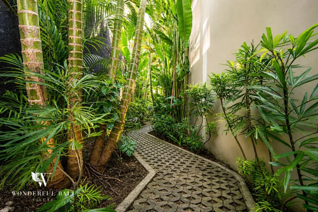 2BR villa for rent in Bumbak, Umalas — garden, stone paver path winding between bamboo and palms alongside a 2-bedroom villa