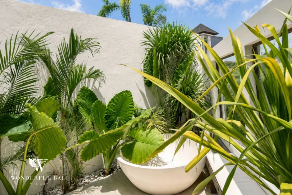 Freestanding bathtub set outdoors in a planted courtyard at a 3-bedroom villa in Umalas Bali