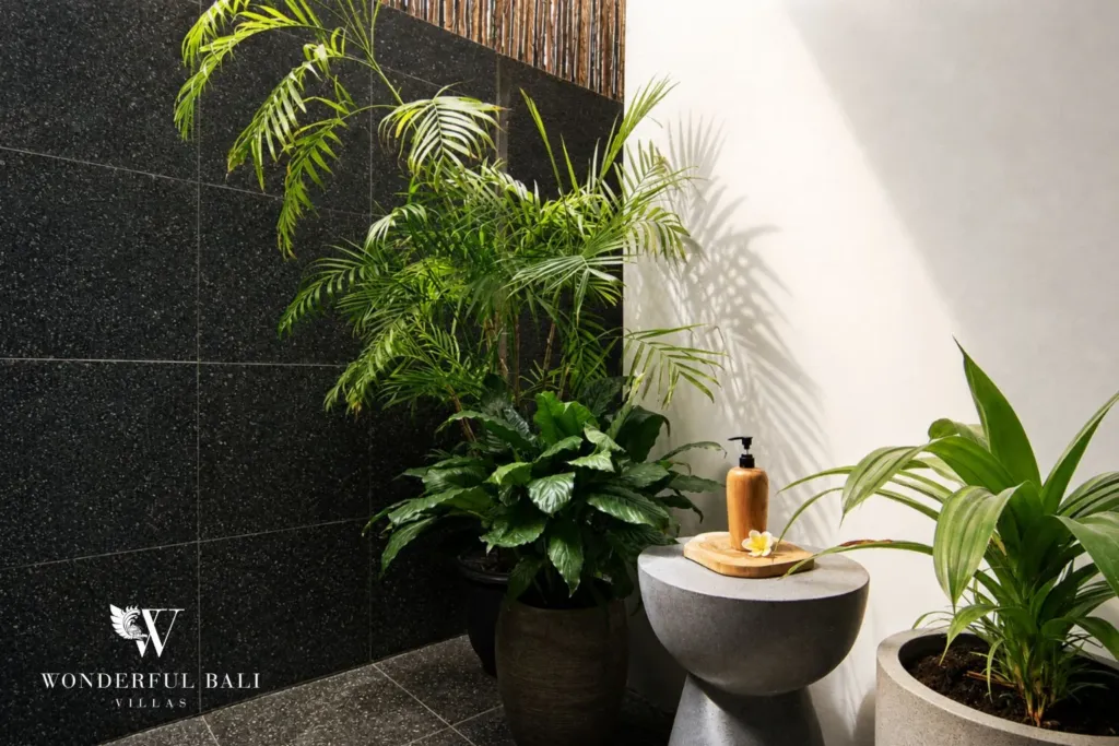 2BR villa for rent in Bumbak, Umalas — bathroom, planted open-air corner of a black stone en-suite bathroom at a 2-bedroom villa