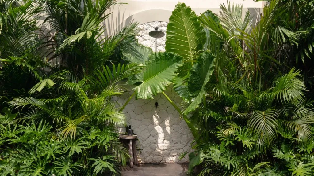 Tropical garden at Villa Jaxé, a 5-bedroom private-pool villa in Bingin, Bali
