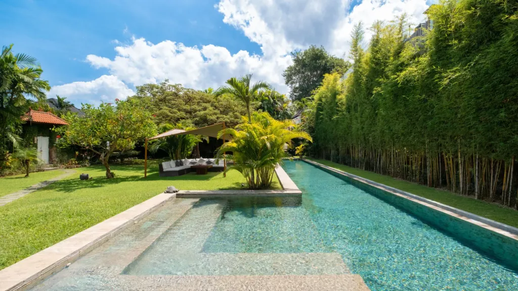 Villa Mogi, Seminyak — pool, long lap pool at Villa Mogi with a mature bamboo screen behind it