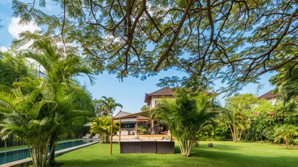 Villa Mogi, Seminyak — garden, villa Mogi's garden with palms, rain tree and pool, central Seminyak