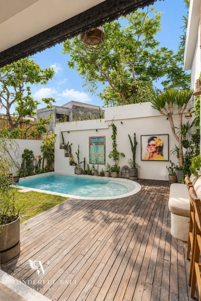 2BR villa for rent in Berawa, Canggu — pool deck, timber pool deck and potted cacti along the white courtyard wall