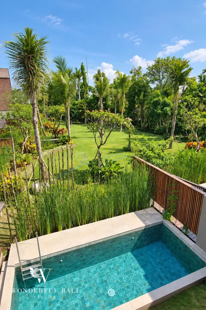 4BR villa for rent in Berawa, Canggu — pool, the pool with planting and green outlook behind