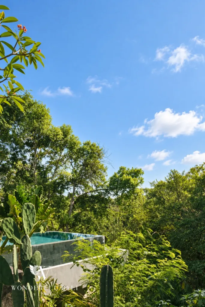 5BR villa for rent in Munggu, Bali — garden, pool edge looking across the wooded valley below the garden