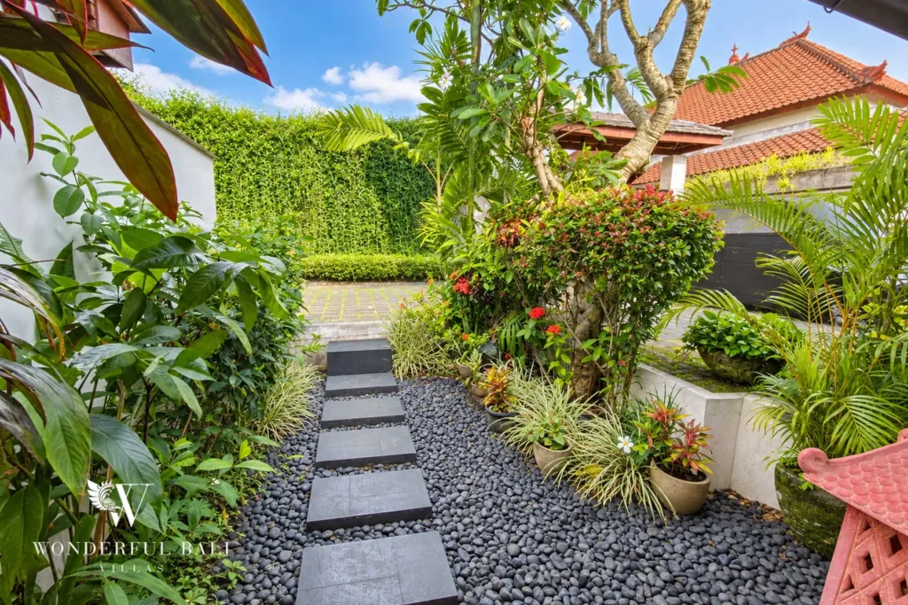3BR villa for rent in Padonan, Canggu — garden, paved courtyard path along a green hedged wall