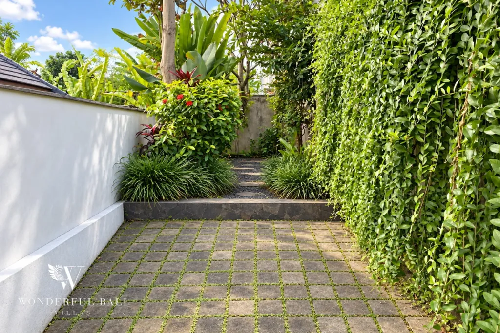 3BR villa for rent in Padonan, Canggu — garden, side walkway with climbing greenery over the boundary wall