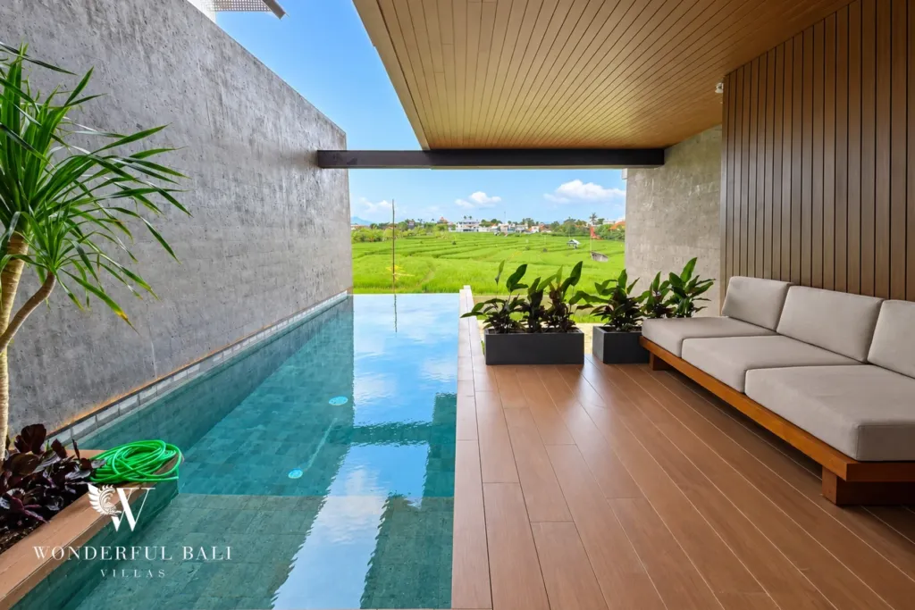 3BR villa long term rental Canggu — private infinity pool and covered terrace looking straight out over open rice fields