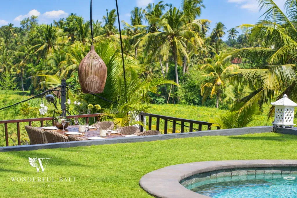 3BR villa for rent in Tabanan — pool edge and lawn with a hanging rattan chair and jungle view