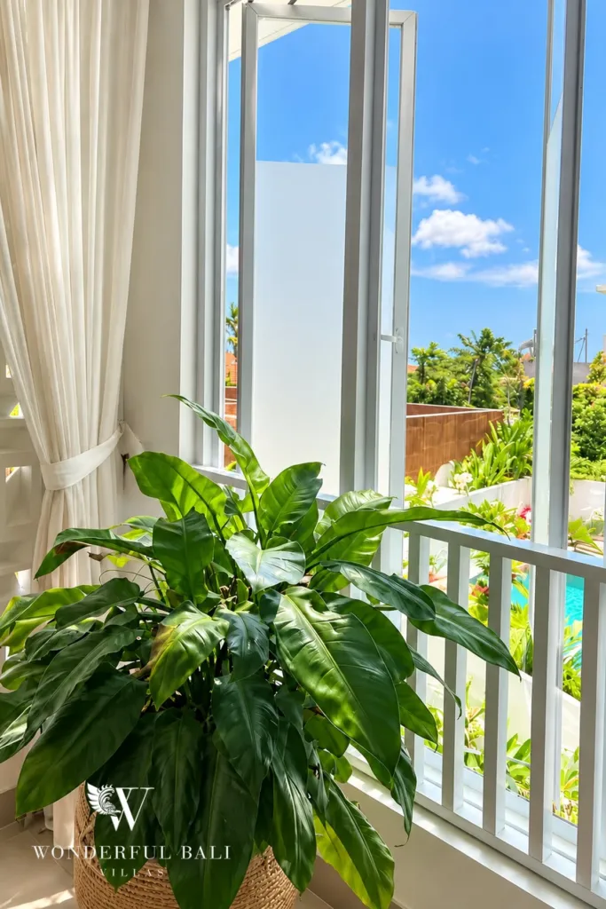 3BR villa for rent in Padonan — balcony looking out over the garden