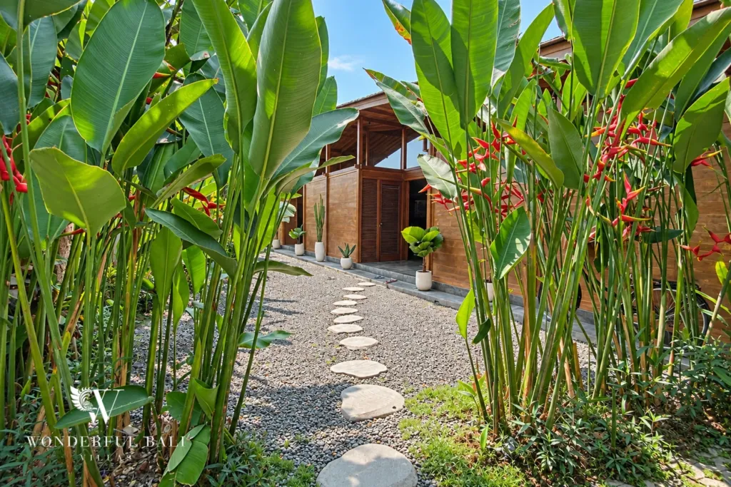 3BR villa Seseh, Canggu — tropical entrance path