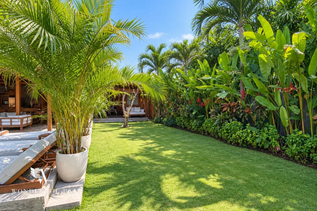 3BR villa Seseh, Canggu — palm garden